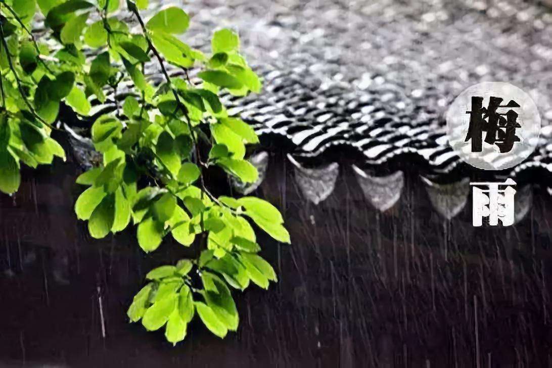 南京梅雨季节装修